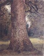 John Constable Study of the trunk of an elm tree oil on canvas